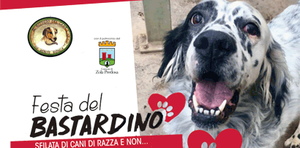 Festa del Bastardino il 15 settembre: sfilata di cani di razza e non...