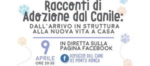 "Racconti di Adozione dal Canile: dall'arrivo in struttura alla nuova vita a casa"