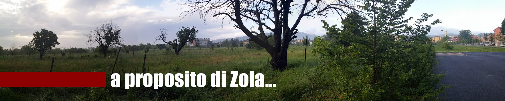 A proposito di zola cover