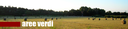 Campo di grano - cover