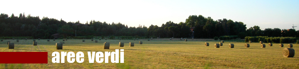 Campo di grano - cover