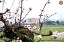 Giardino Campagna - locandina