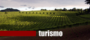 Turismo cover