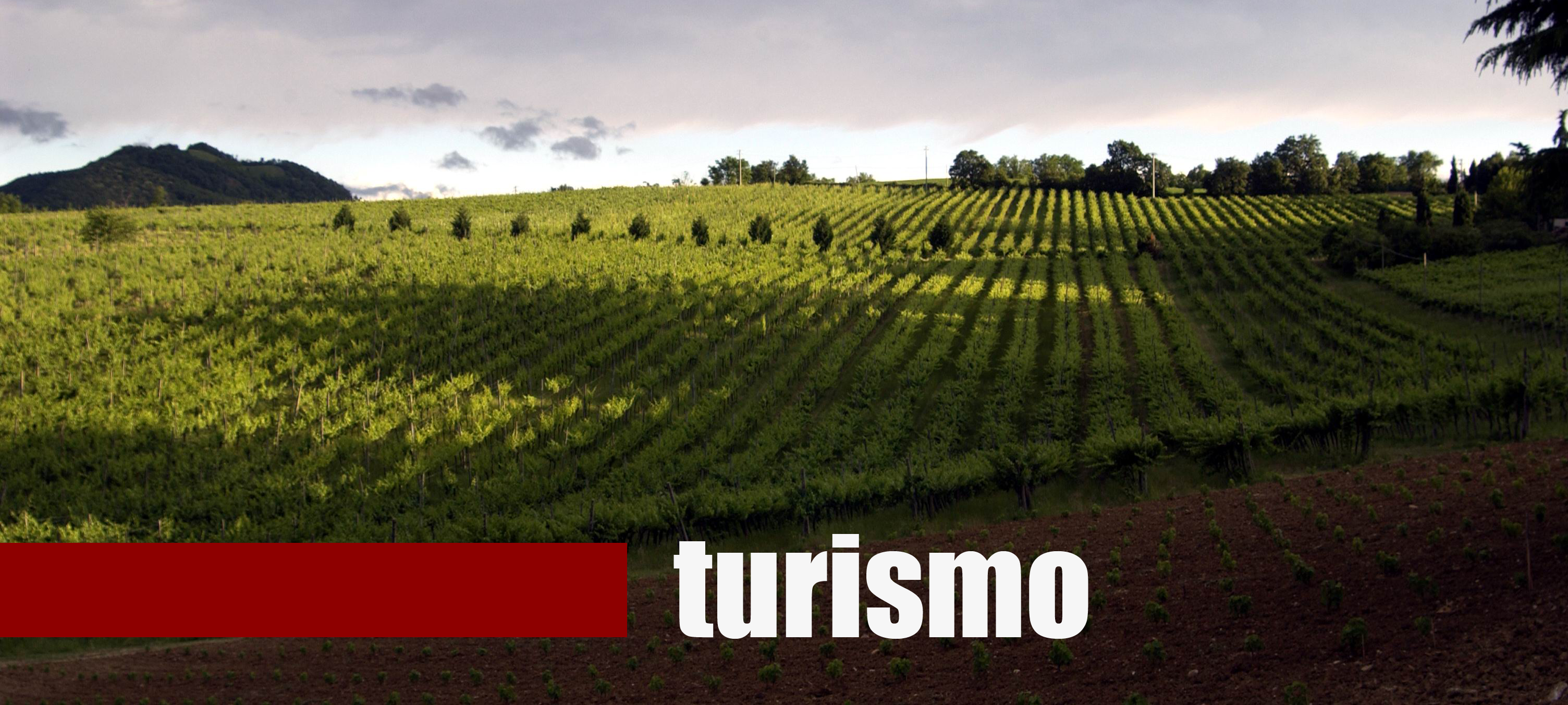 Turismo cover