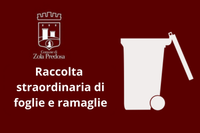 Raccolta straordinaria di foglie e ramaglie