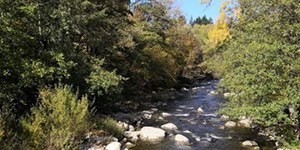 Taglio vegetazionale lungo il fiume Lavino. Inizio dei lavori giovedì 29 settembre 2022