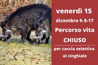 Venerdì 15 dicembre Percorso Vita chiuso per caccia selettiva al cinghiale