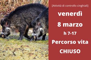 Venerdì 8 marzo Percorso Vita chiuso per attività di controllo del cinghiale